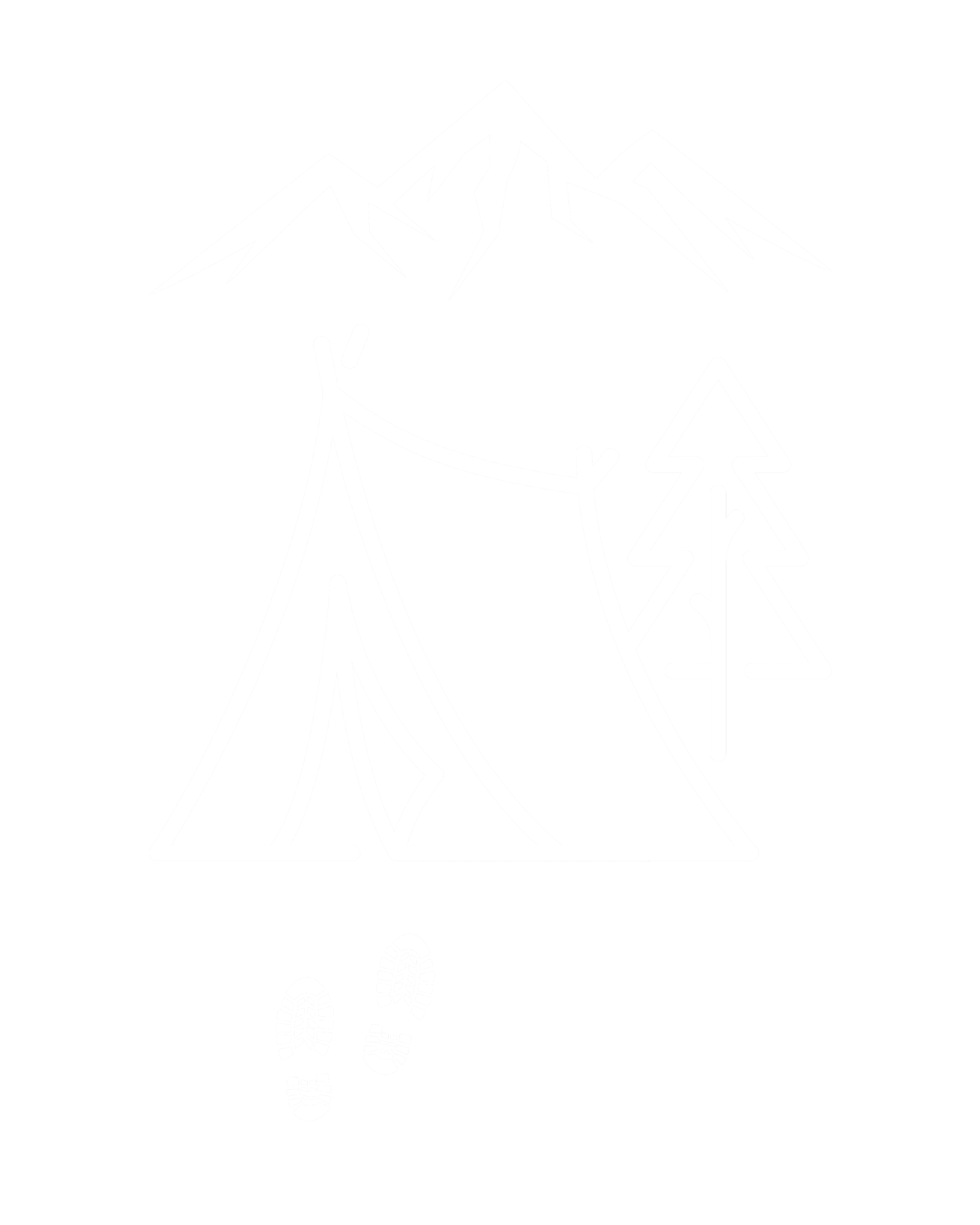 Wilderness Experience